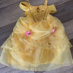 Disney Princess Costume