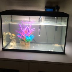 10 gallon fish tank like new comes with filter and heater 55 OBO