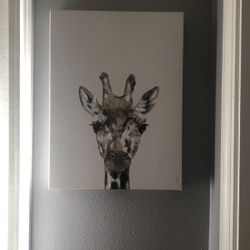 Animal Picture Frames