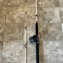 Casting rod (Ugly Stick)
