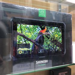 Atomos Shinobi 5" 4K HDMI Monitor