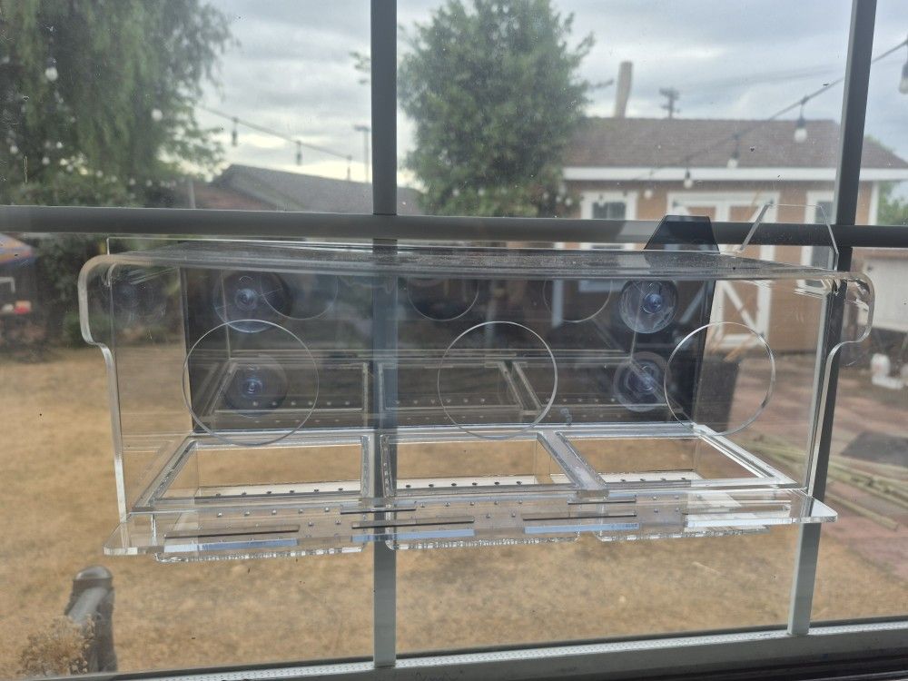 Window Bird Feeder 