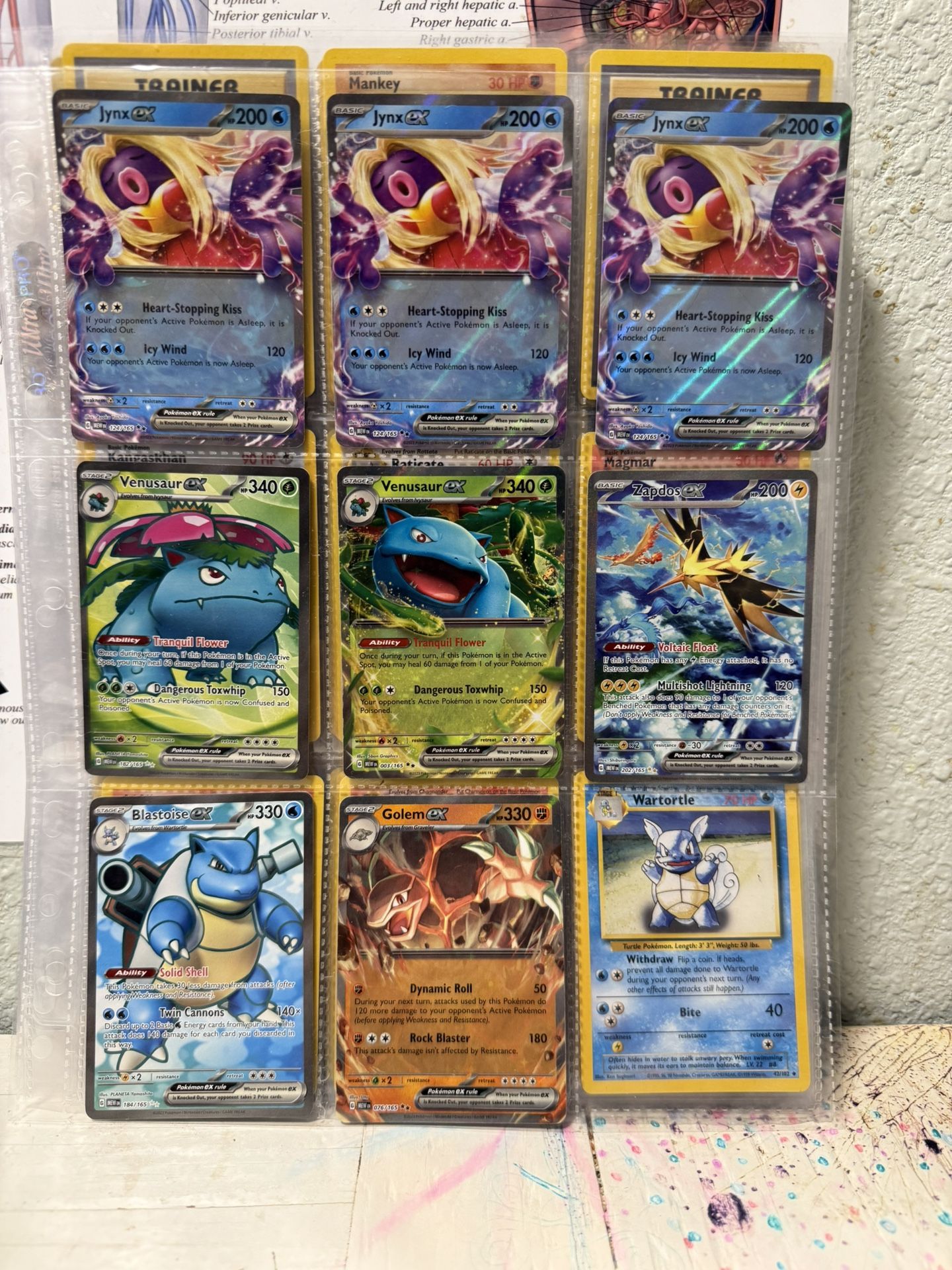 Entire Pokémon Card Collection 