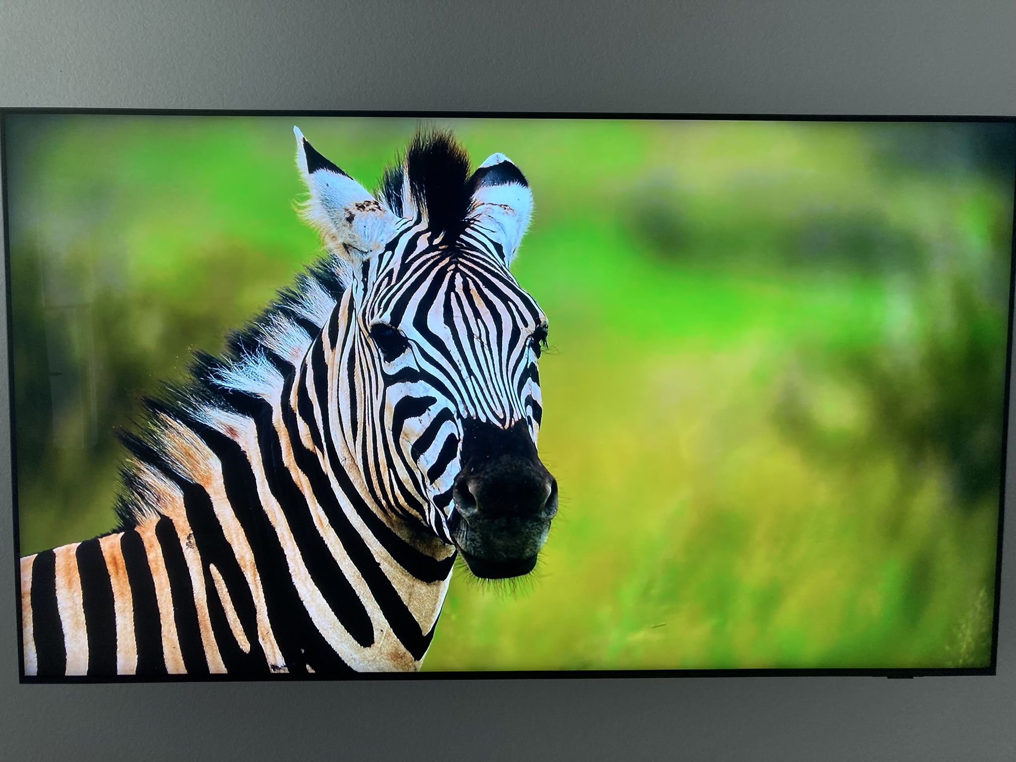 Samsung 75” Qned Tv Last Year Version Works Perfect