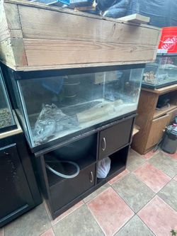 40g & stand