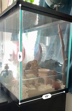 22 gallon tank
