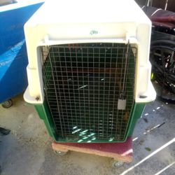 Dog Kennel 