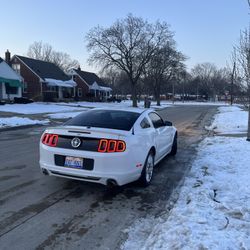 2013 Ford Mustang Premium 