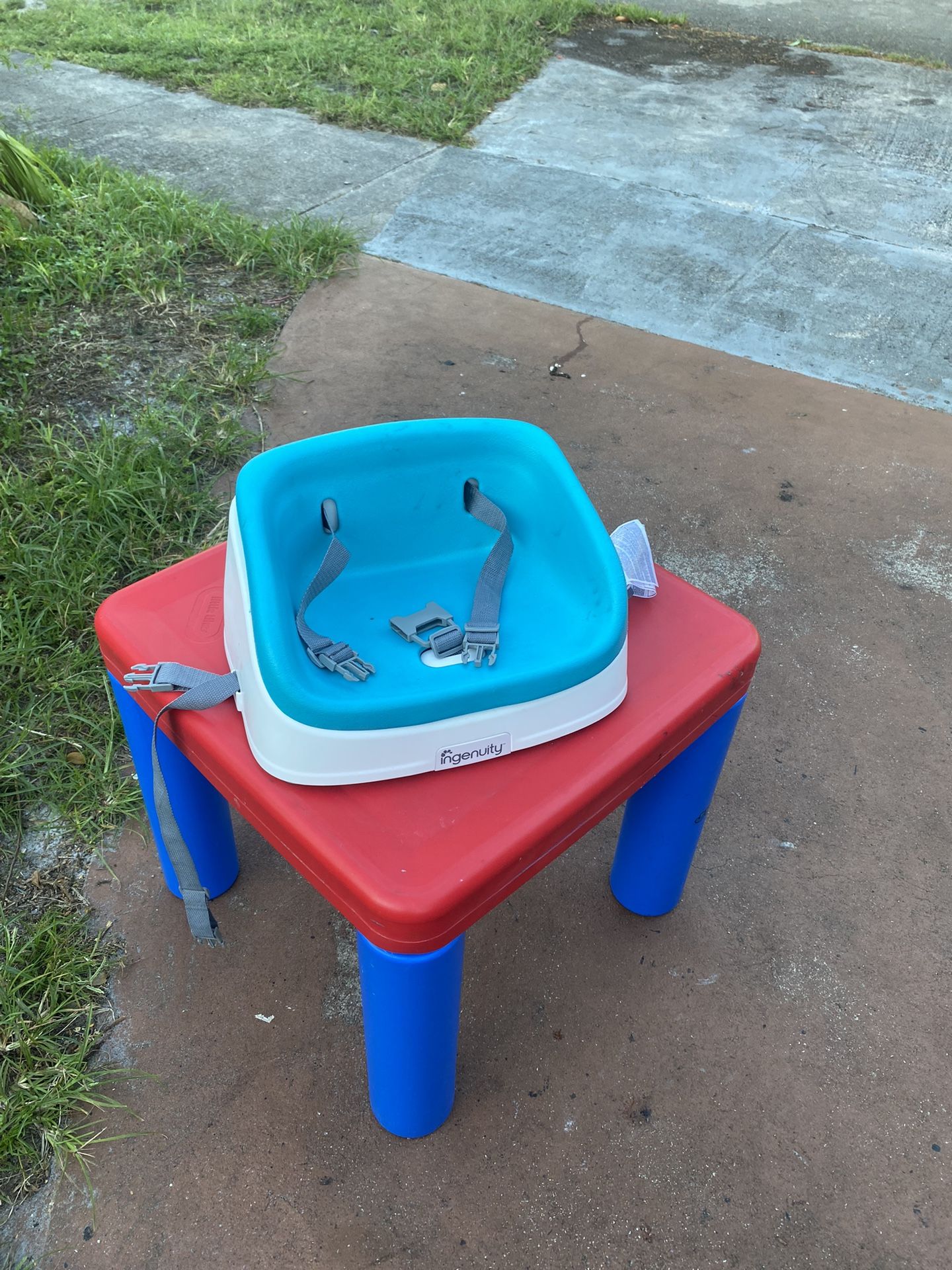 Ingenuity SmartClean Toddler Booster Seat