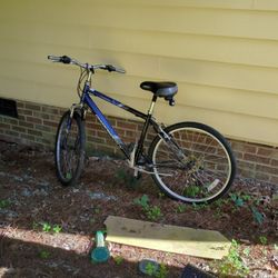 Diamondback Bicycle 