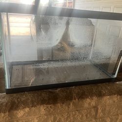 Reptile/fish Tank