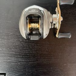 Pinnacle Platinum Plus LP100 Baitcasting Reel.