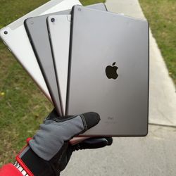 iPads 5 / 6 / 8 / Pro