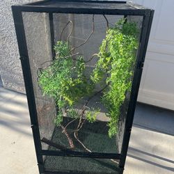 Chameleon Cage