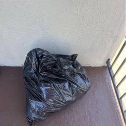 Free 31 Pairs of jeans 