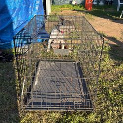 Dog Large Cage 