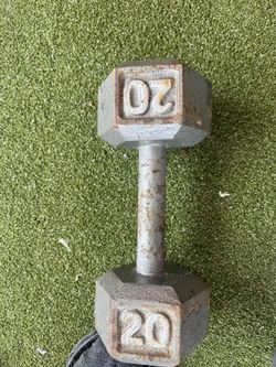 20lb Dumbbell