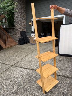 Ladder Shelf