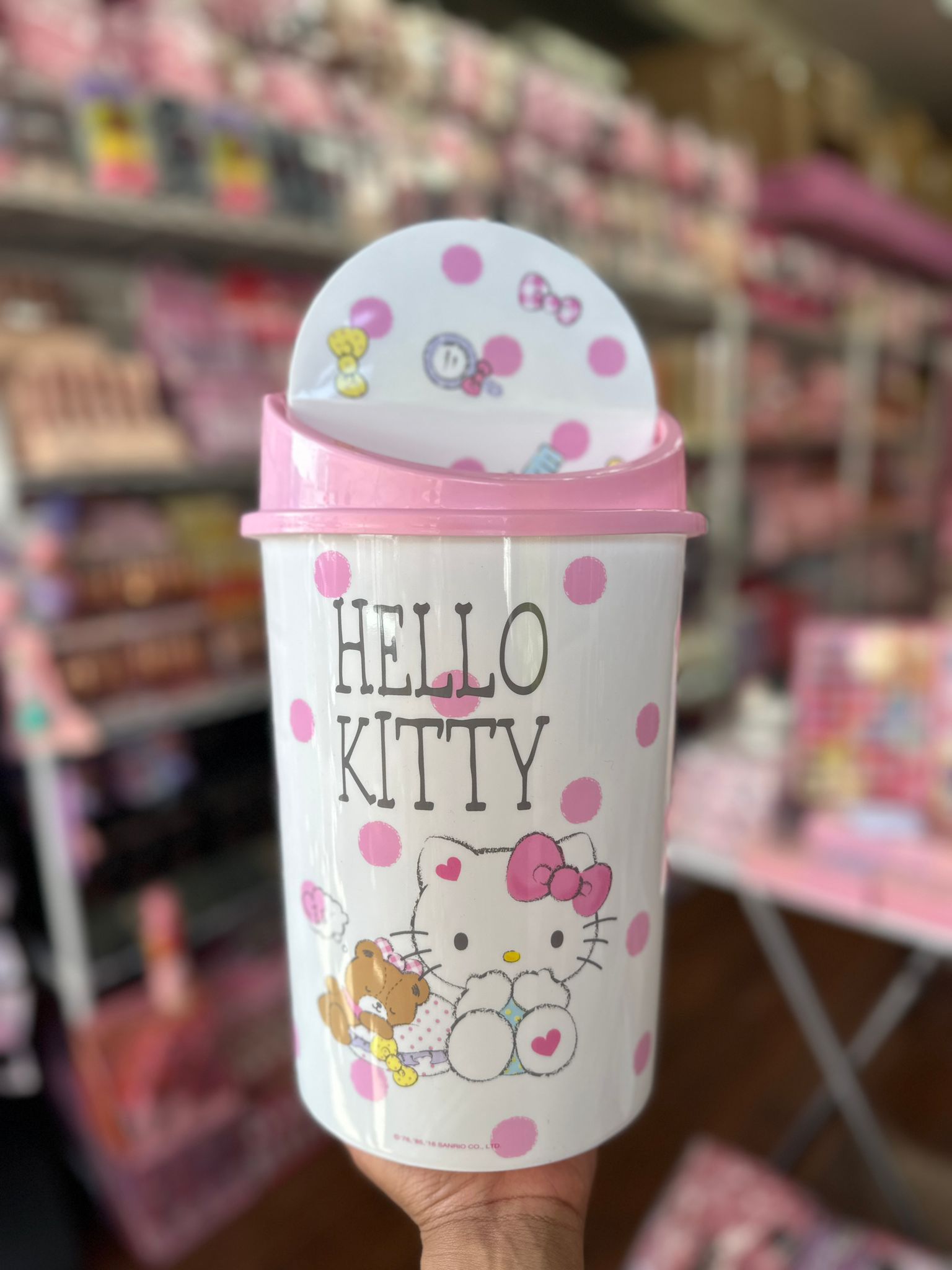 Hello Kitty Bins 