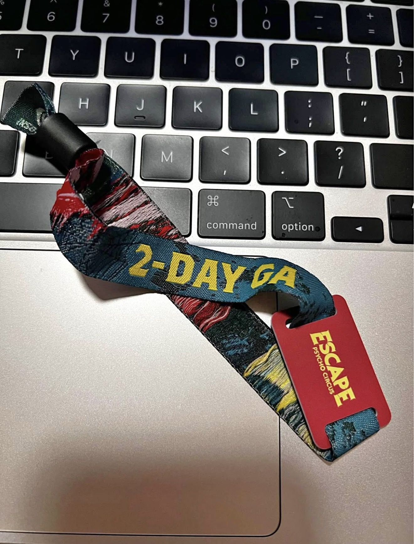 Escape 2 Day GA Wristbands **Local Meetup Only**