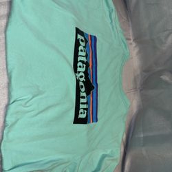 Patagonia Men's Long Sleeve T-Shirt Teal, Organic Cotton, Regular Fit