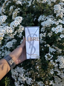 Ysl Libre