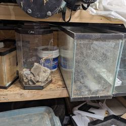 Various Terrariums Lot