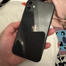 iPhone 11 + Cases