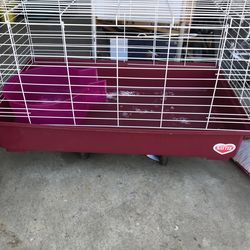 Guina Pig Cage And Dome