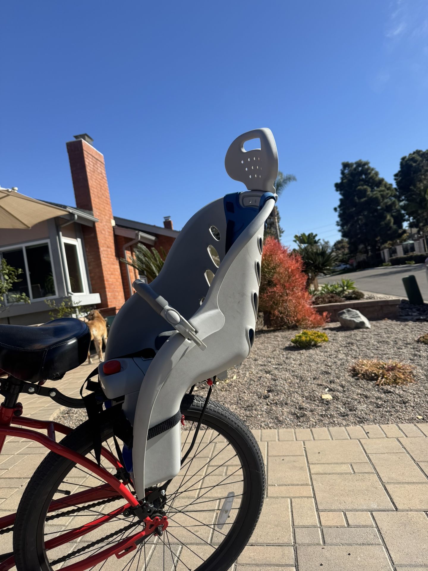 Schwinn Deluxe Bike Child Carrier