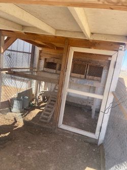 Chicken coop