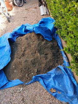Clean dirt