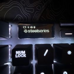 Steel Series Gaming Keyboard 