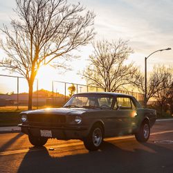 1966 Ford Mustang