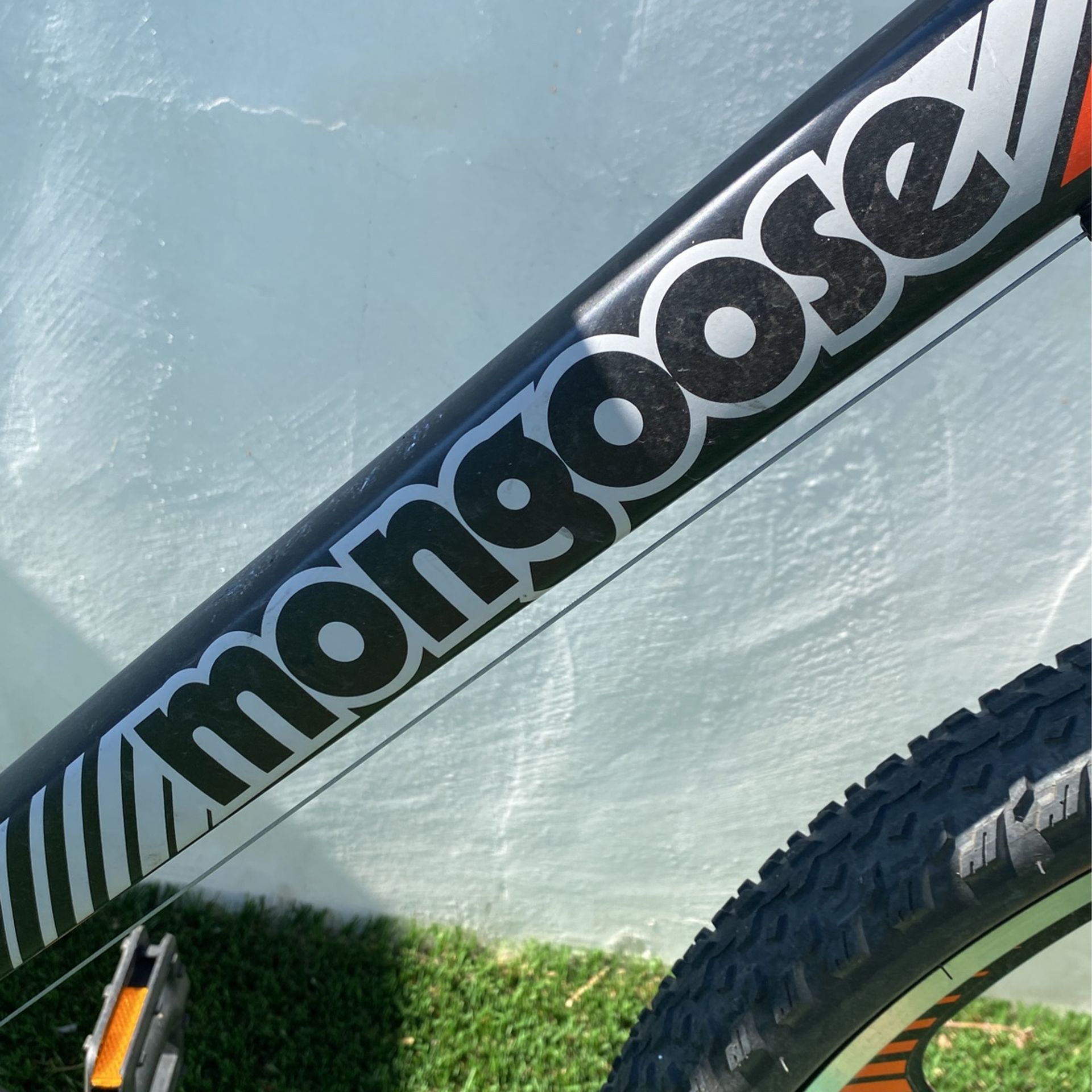 Moongoose Bike