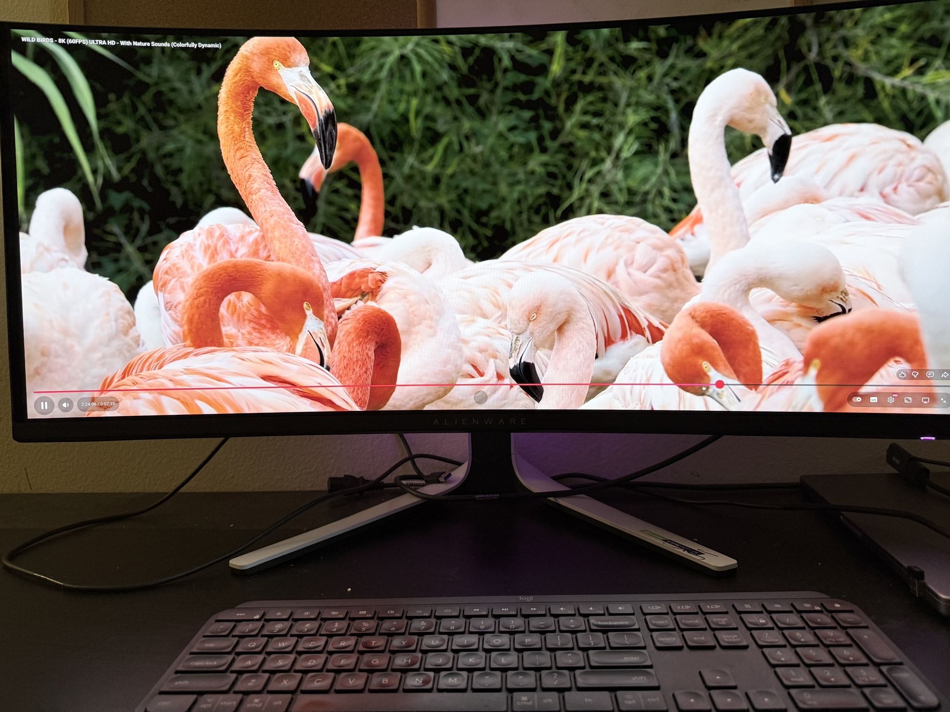 Alienware 34 QD OLED WQHD 175 HZ Gaming Monitor