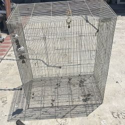 Birdcage