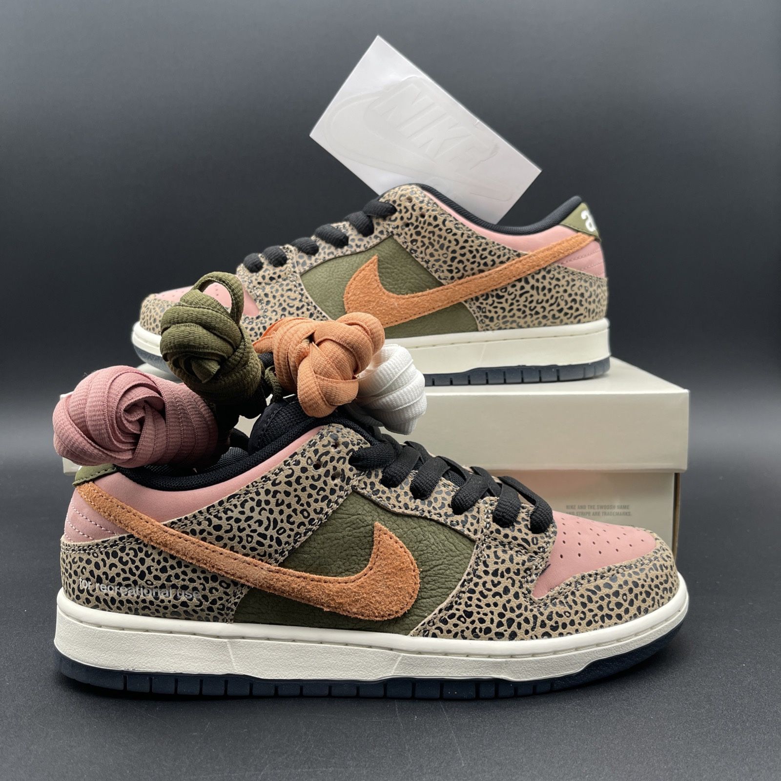 Nike Arts-Rec x Dunk SB Low For Recreational Use