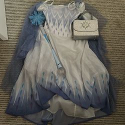 Girls Small Frozen Dress And Accessories