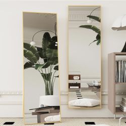 Mirror Tall Full Length (gold)Beauty 4U 59”x16” 