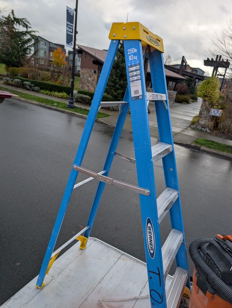 Werner 6' Step Ladder