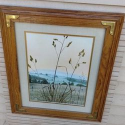 SOLID WOOD FRAME - BRASS ACCENTS FRAMES / MATTED WALL ART PRINT  / JEANE DUFFEY  24"×20"