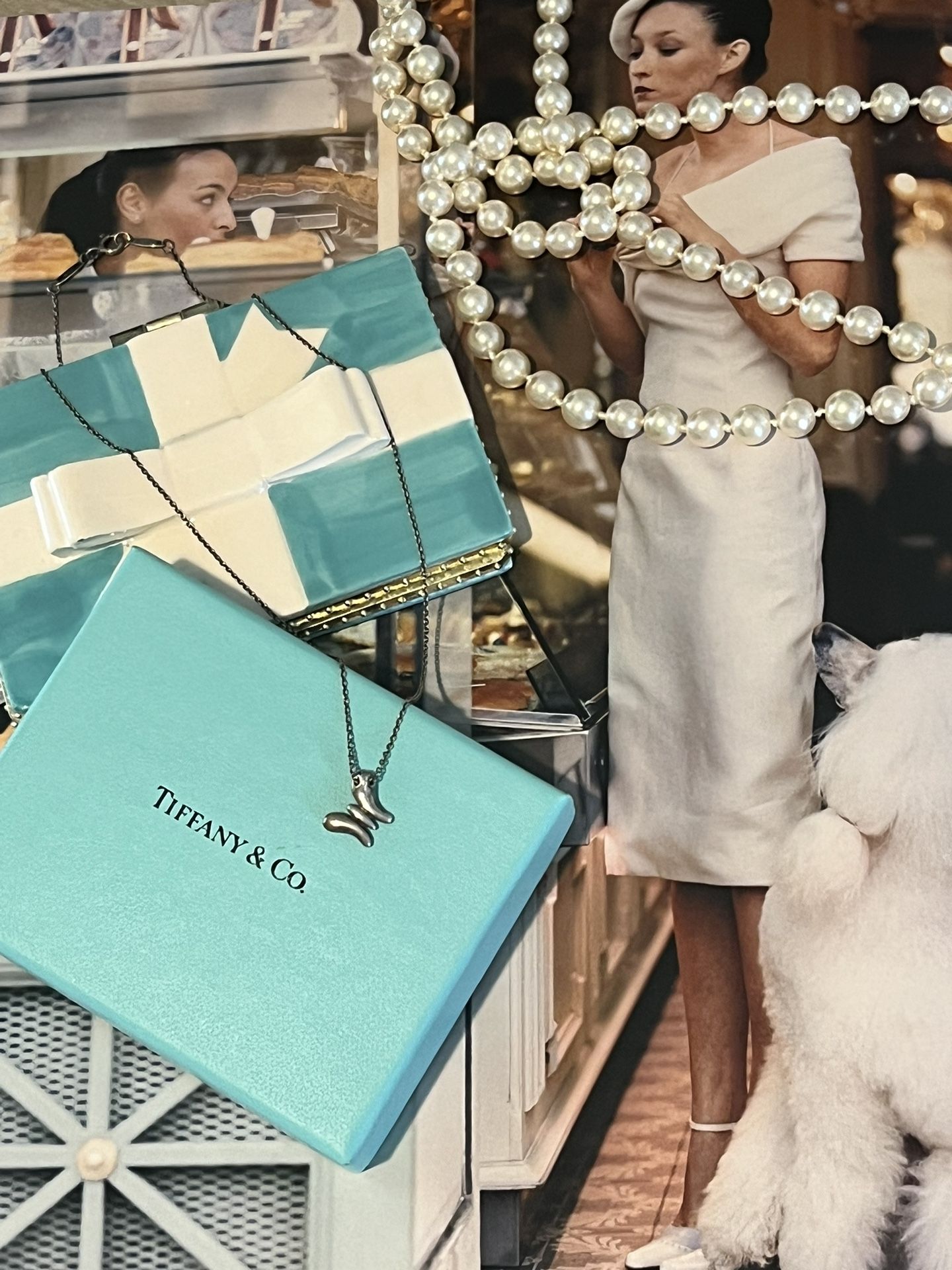 Tiffany & Co Necklace And Gift Box 