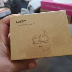 True Wireless Earbuds 