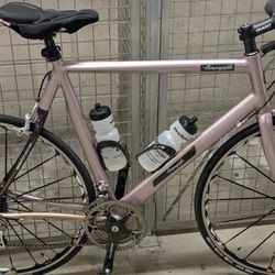 Fetish Cycles Custom Road Campagnolo 10‑Speed Wgt. 16.5lbs  Size L 56–58 cm