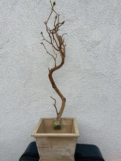 Floral Base Made In Wood 