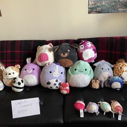 Squishmallows! Tons of them!
