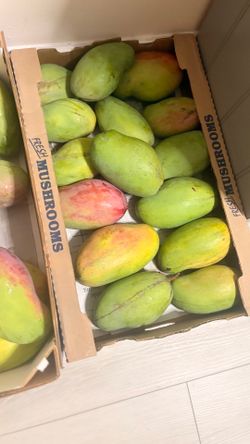 🥭 Fresh Valencia Mangoes $3–$4 Each — Limited