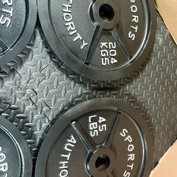 Vintage/Reconditioned Olympic  Weights Plates  SPORT AUTHORITY : 45s, 35s, 25s, 10s & 5s . Brute#240