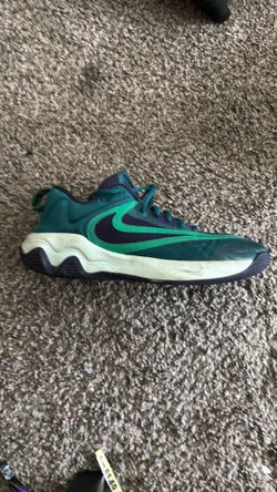 Giannis basketball shoe size 9.5